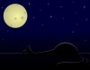 3060462-619518-black-cat-sleep-on-night-and-moon-with-stars.jpg