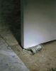 Cash Door Stopper.png