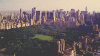 NY #.gif