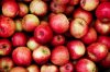 Red apples.jpg