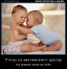 uteha vistinski drugar -poveke.jpg