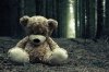 teddy-bear-woods-Favim.com-44395_large.jpg