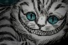 alice-alice-in-wonderland-bright-cat-cheshire-cat-cute-Favim.com-107933.jpg