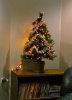 small-christmas-tree-on-shelf.jpg