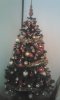 DSC0000232.jpg