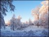 Finland_Winter_2010_by_Pixelphoto.jpg