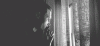 tumblr_mfeqktOAdx1r83lw2o1_500.gif