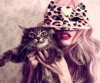 audrey-kitching-cat-cute-fashion-girl-lol-Favim.com-41406_thumb.jpg