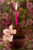 chocolate_flower_cupcake.jpg