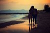 beach-love-sea-water-Favim.com-322086.jpg