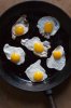 Fried eggs.jpg