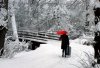 4859344-70595-love-snow.jpg