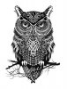 gloom-owl-tattoo-design.jpg