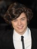 Harrystyleshair.jpg