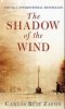 shadow-of-the-wind 2.jpg