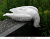 stock-photo--dead-dove-figure-on-a-grave-in-central-cemetery-vienna-austria-3363245.jpg