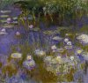 claude monet water lilies.jpg