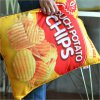 Couch Potato Chips Cushion.jpg