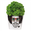 Jimi Herb Flower Pot.png