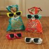 Sunglasses Bag Clips.jpg