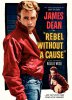 rebel without a cause movie poster.jpg