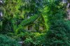 fairy-tale-house-01.jpg