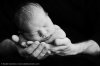 01-newborn-baby-boy.jpg