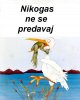 Nikogas ne se predavaj.jpg