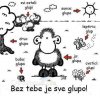 bez-tebe-je-sve-glupo.jpg