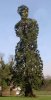 weird-trees-10.jpg