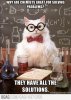 Chemistry cat tells you the joke of the day.jpg