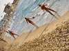 1.1245099705.matkot-games-on-the-beach.jpg