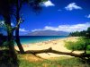 Kihei_Beach_Maui_Hawaii.jpg