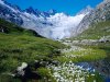 Spring-wallpapers-HD-desktop-background-mountains.jpg