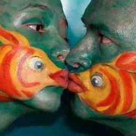 Goldfish