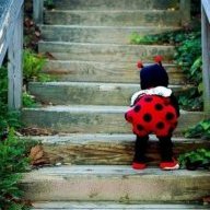 Lady Bug