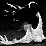 angel